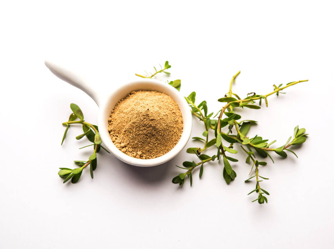 бакопа монньєрі 