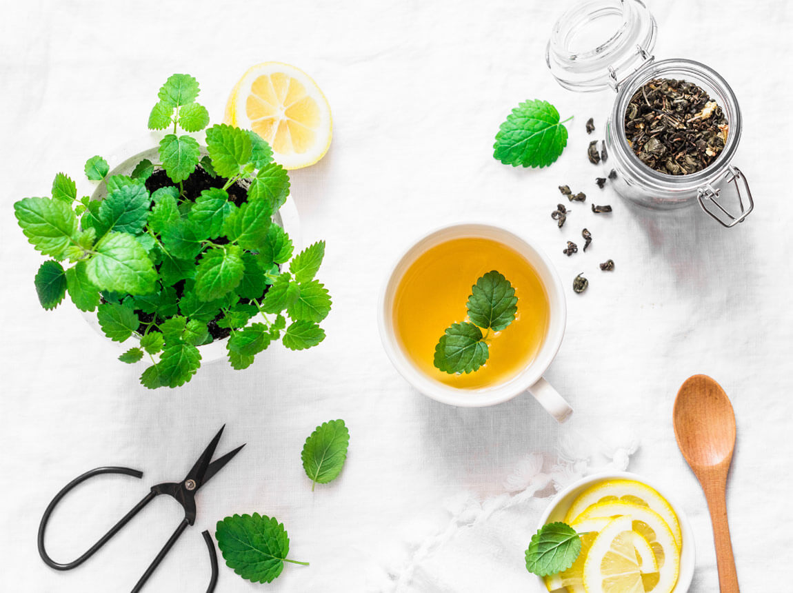 меліса - трави, чай 