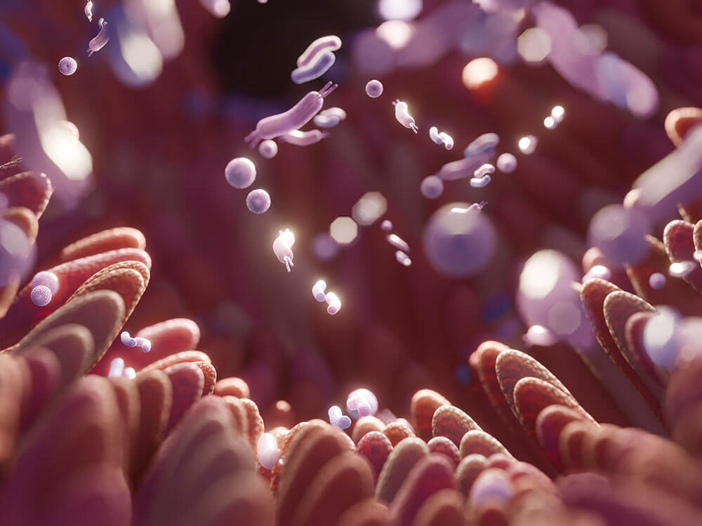 пробіотики 