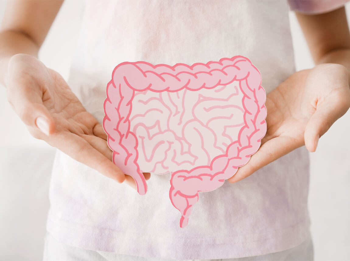 кишечник - травлення