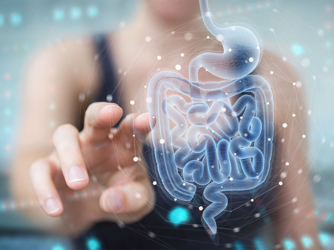 кишечник, пробіотики