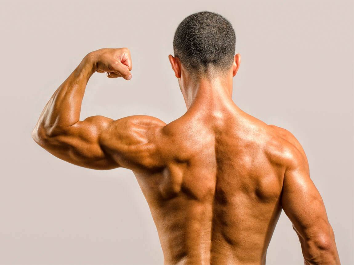 тренування біцепсів