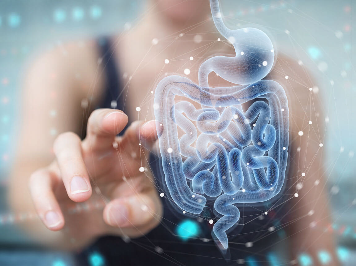 Травлення, кишечник, пробіотик