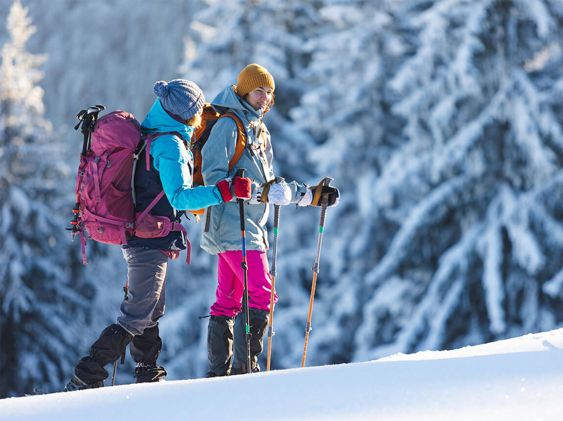 зимові мандрівки