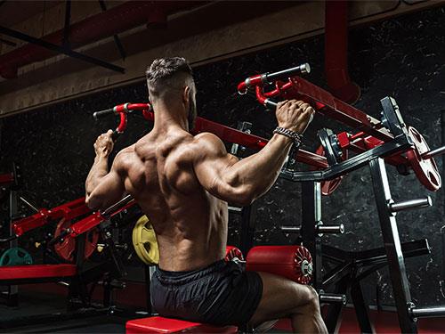 За що відповідає глютамін? Роль в організмі