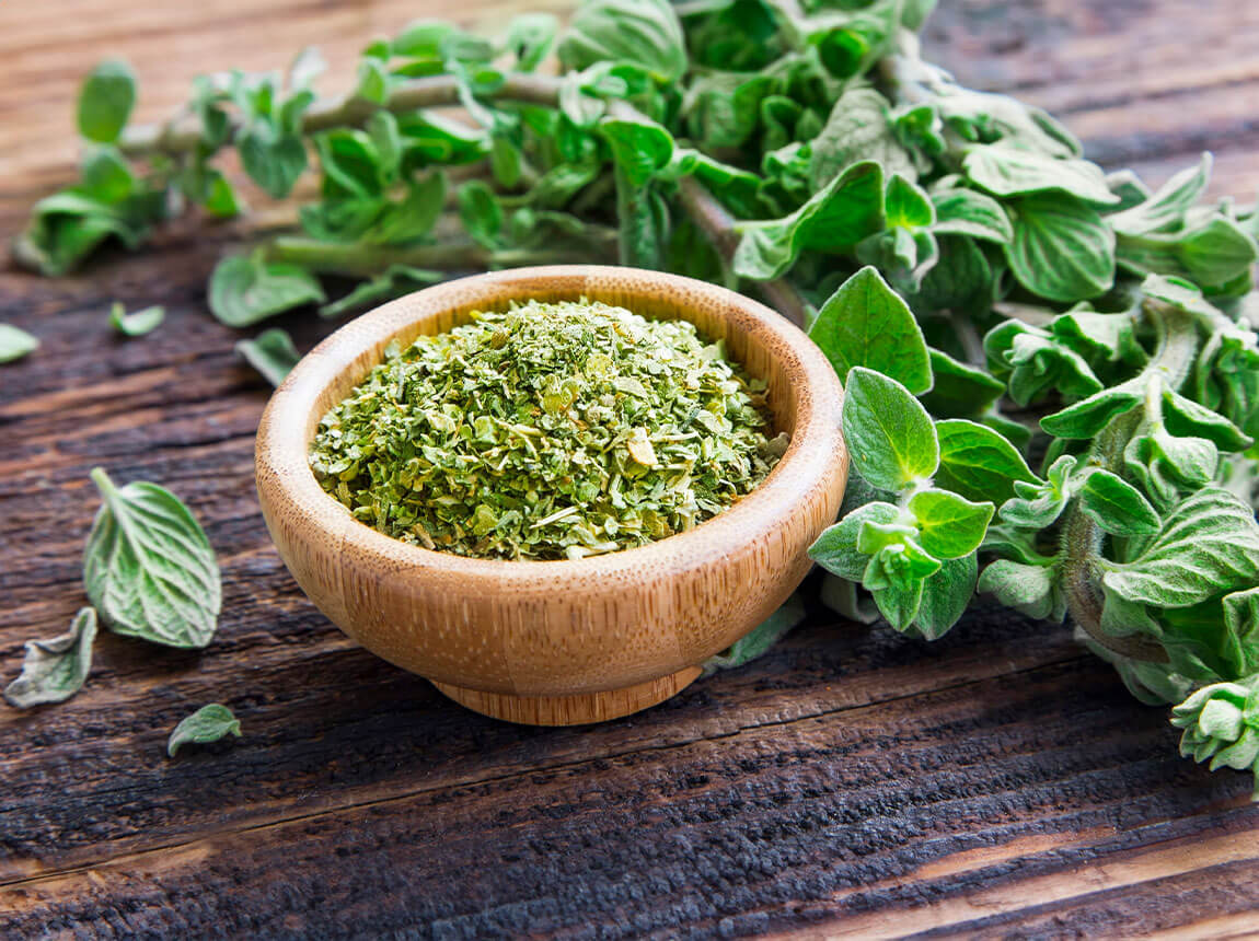 Дика орегано