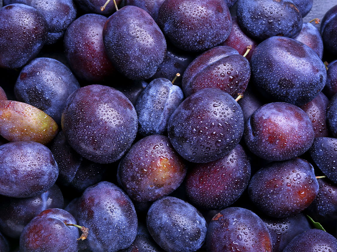 Слива домашня (Prunus domestica) 