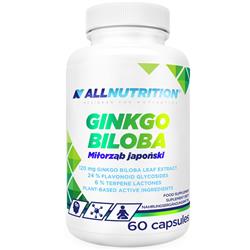 Гінкго білоба