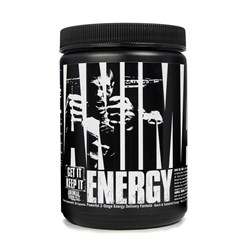 Animal Energy