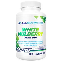 Біла шовковиця