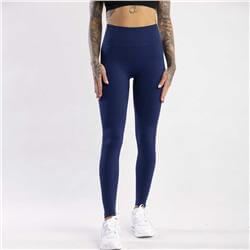 Seamless Leggings Push UP Blue